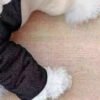 Pet Poodle Dog Clothes Cotton-padded Coat Four-leg Fleece-lined