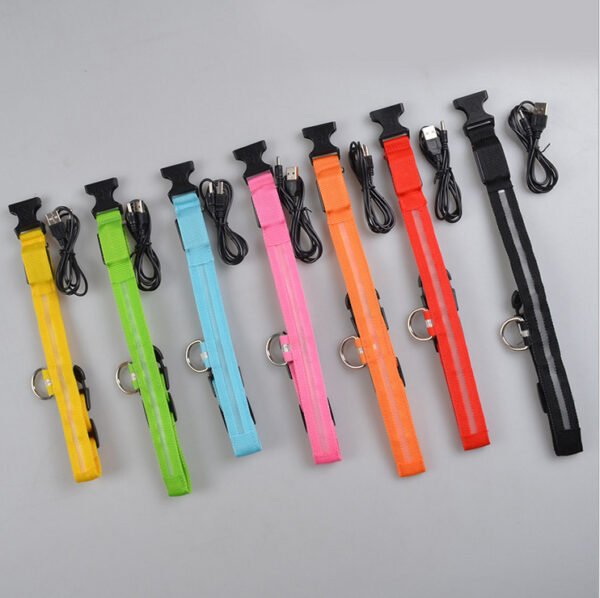Nylon LED Pet Dog Luminous Collar Night Safety Flashing