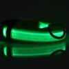Nylon LED Pet Dog Luminous Collar Night Safety Flashing