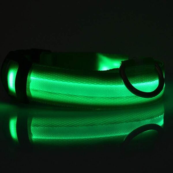 Nylon LED Pet Dog Luminous Collar Night Safety Flashing