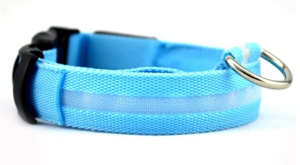 Nylon LED Pet Dog Luminous Collar Night Safety Flashing