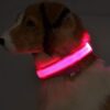 Nylon LED Pet Dog Luminous Collar Night Safety Flashing