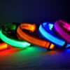 Nylon LED Pet Dog Luminous Collar Night Safety Flashing