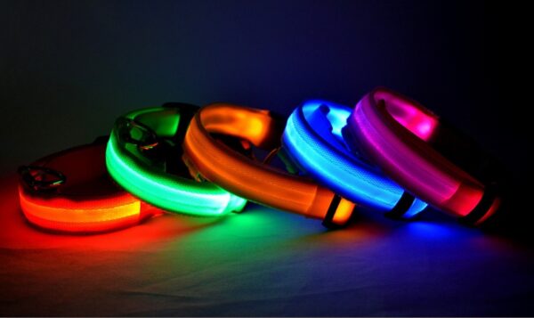 Nylon LED Pet Dog Luminous Collar Night Safety Flashing