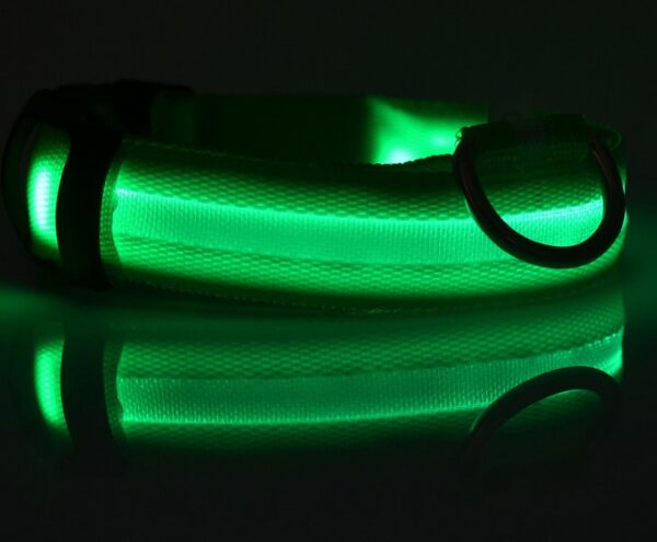 Nylon LED Pet Dog Luminous Collar Night Safety Flashing