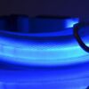 Nylon LED Pet Dog Luminous Collar Night Safety Flashing