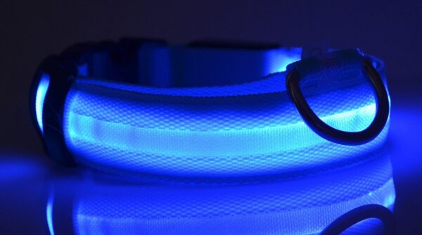 Nylon LED Pet Dog Luminous Collar Night Safety Flashing