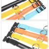 Nylon LED Pet Dog Luminous Collar Night Safety Flashing