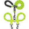 Dog One DragRetractable Leash