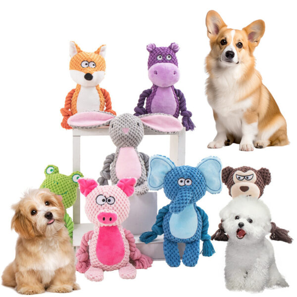 Pet toys Interactive