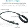 Dog One DragRetractable Leash