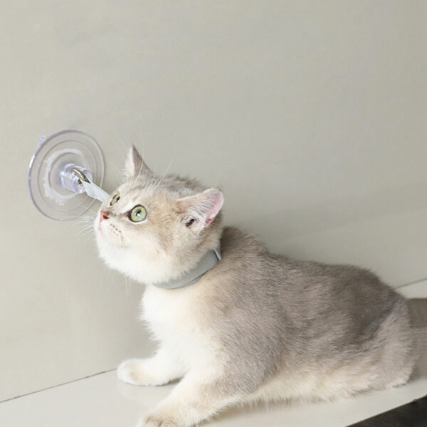 Professional Kittens Necklaces