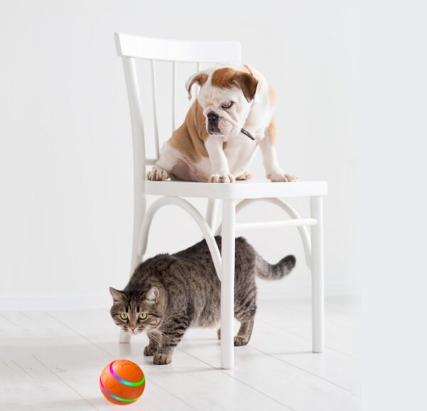 Pet Intelligent Ball Self Rotating
