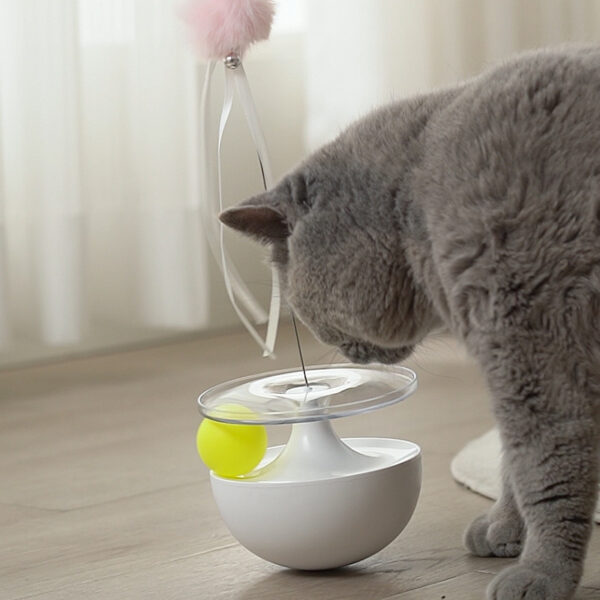 Cat Funny Stick Tumbler