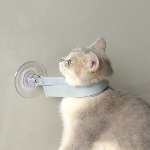Professional Kittens Necklaces