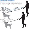 Dog One DragRetractable Leash