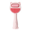 Pets  Brush Massage Cleaning