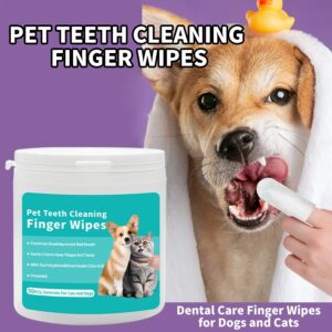 Disposable Pet  Teeth Cleaning
