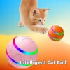 Pet Intelligent Ball Self Rotating