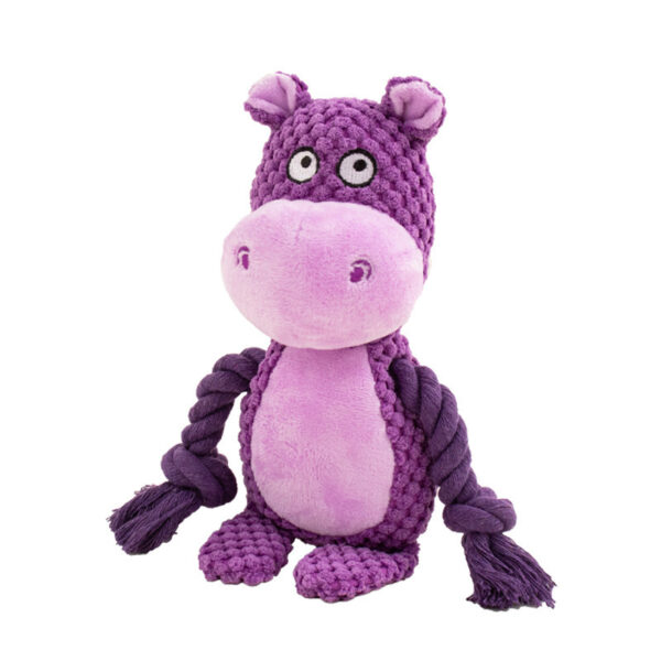 Pet toys Interactive